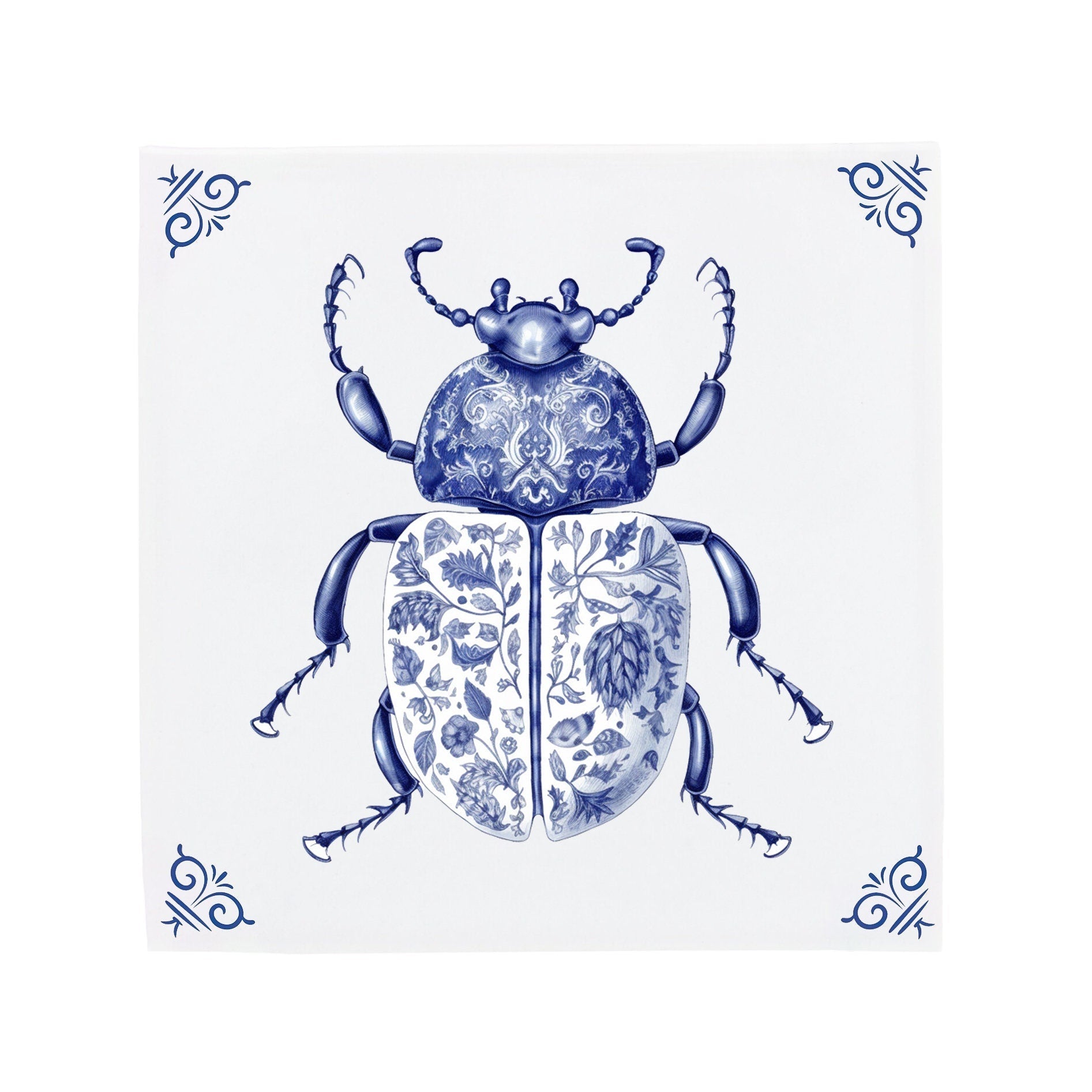 White Beetle Bug