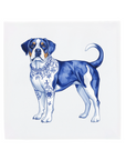 Swiss Mountain Dog