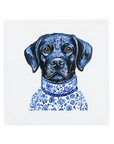 Black Labrador