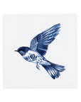 Barn Swallow