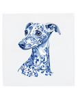 Italian Greyhound