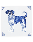 Swiss Mountain Dog