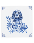 American Cocker Spaniel