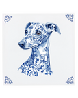 Italian Greyhound