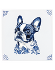 Boston Terrier
