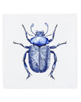 Black Beetle