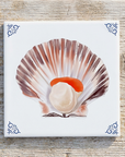 Scallop