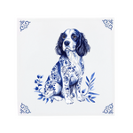 English Springer Spaniel