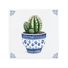 Cactus in Delft Blue Pot