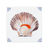 Scallop