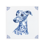 Italian Greyhound