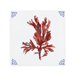 A graceful seaweed illustration by Corinne Alexander on a handmade ceramic tile