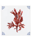 A graceful seaweed illustration by Corinne Alexander on a handmade ceramic tile