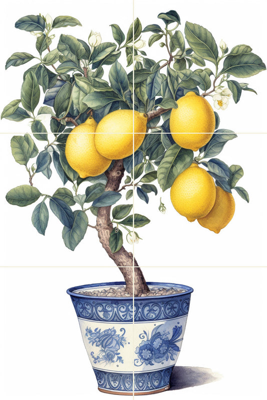 Lemon Tree Plant